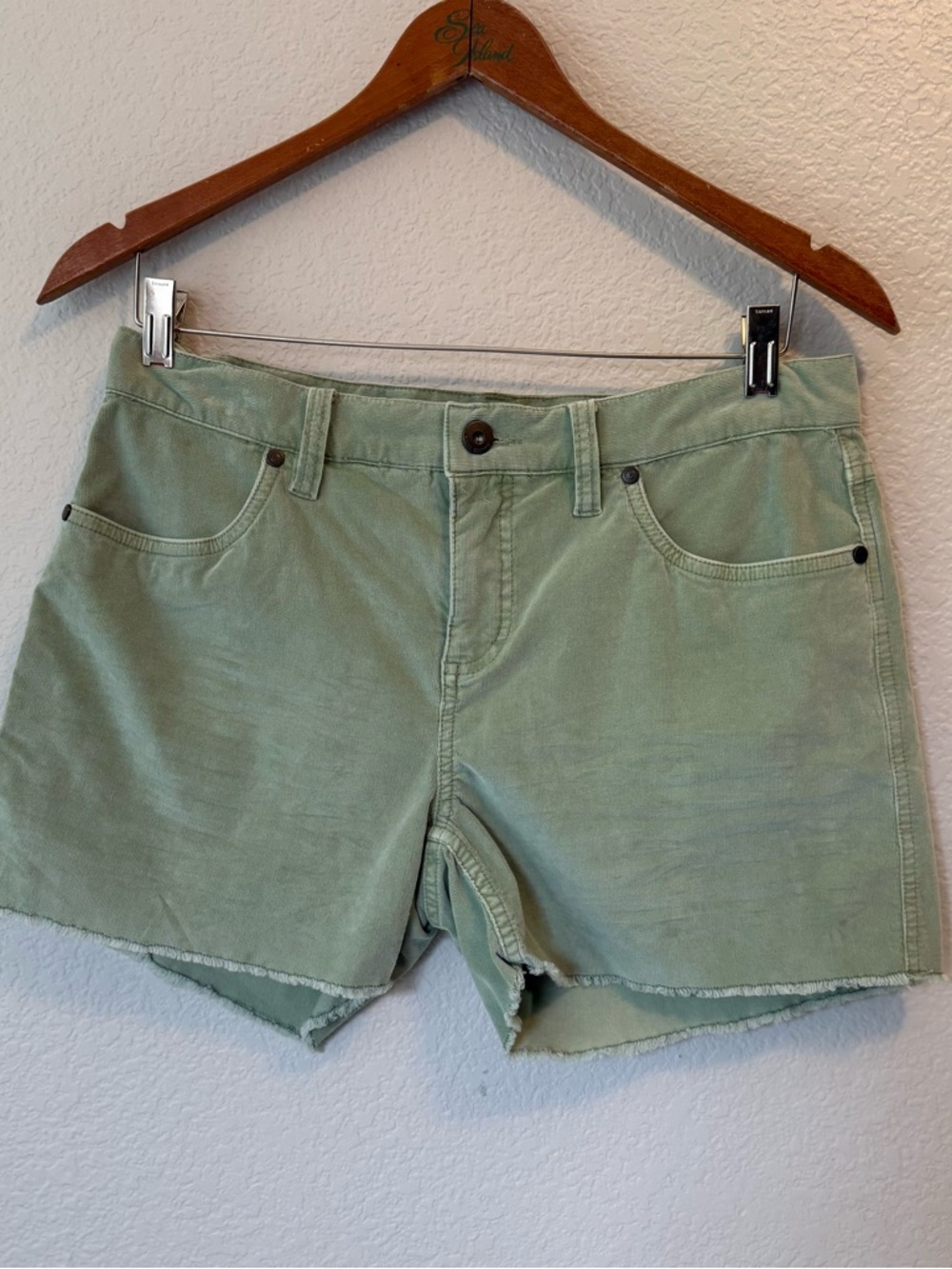 Carve Designs Light Sage Green Denim Shorts